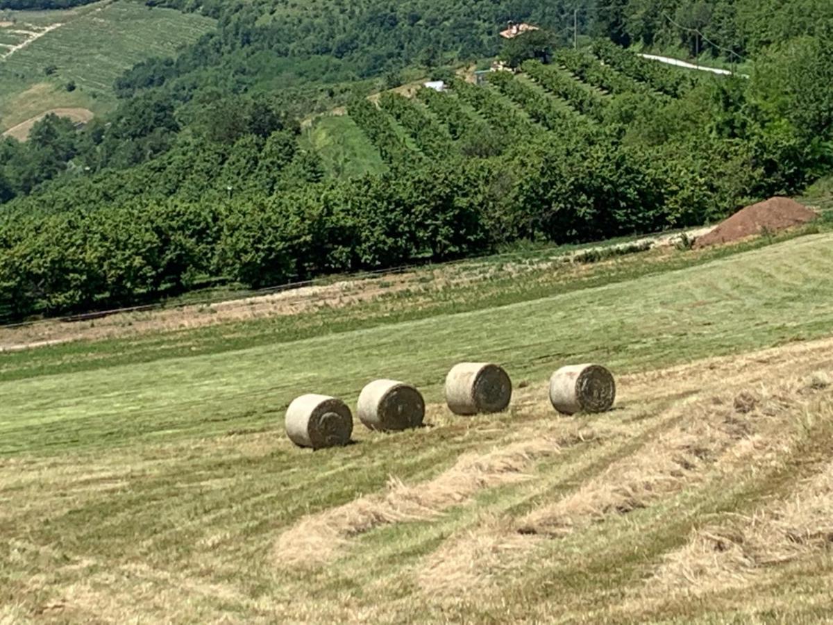 Serravalle delle LangheLa Luce Delle Colline住宿加早餐旅馆 外观 照片